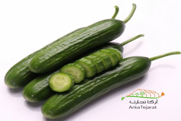 تصویر 2 از فروش بذر خیار گلخانه‌ای ناگین | خرید مطمئن و ارزان